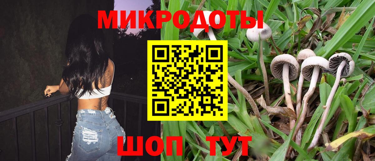 Псилоцибиновые грибы Magic Shrooms  Вход с VPN  Ступино 